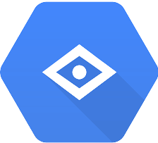 Google Vision API